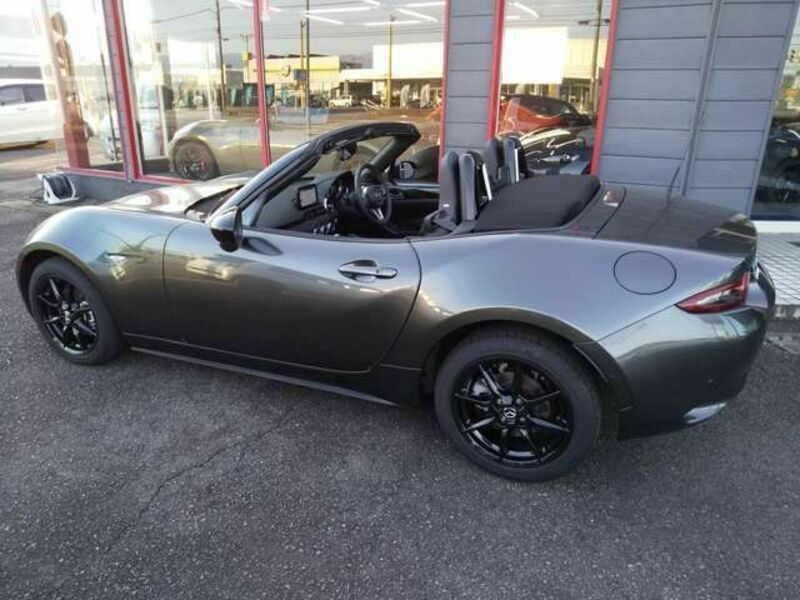 ROADSTER