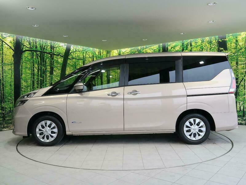 SERENA-37