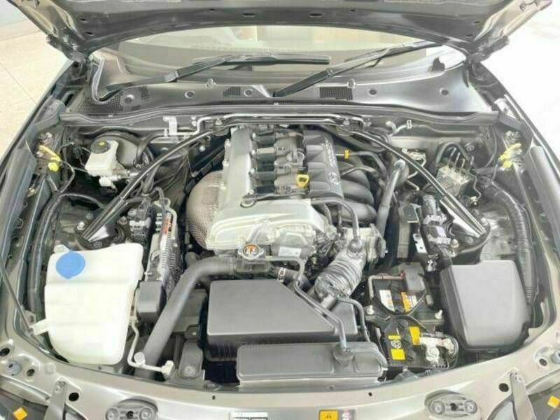 ROADSTER RF