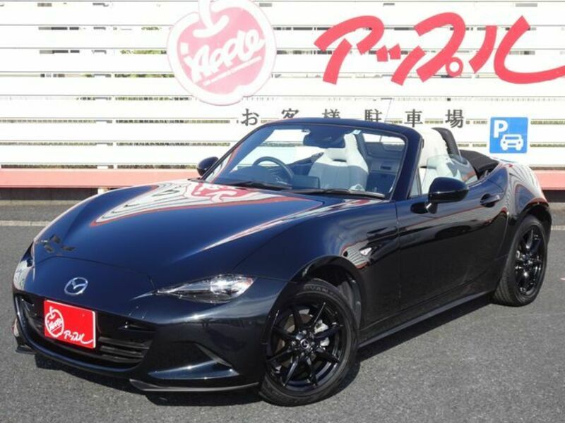 ROADSTER