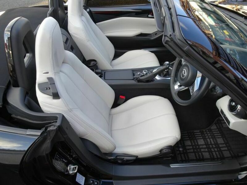 ROADSTER