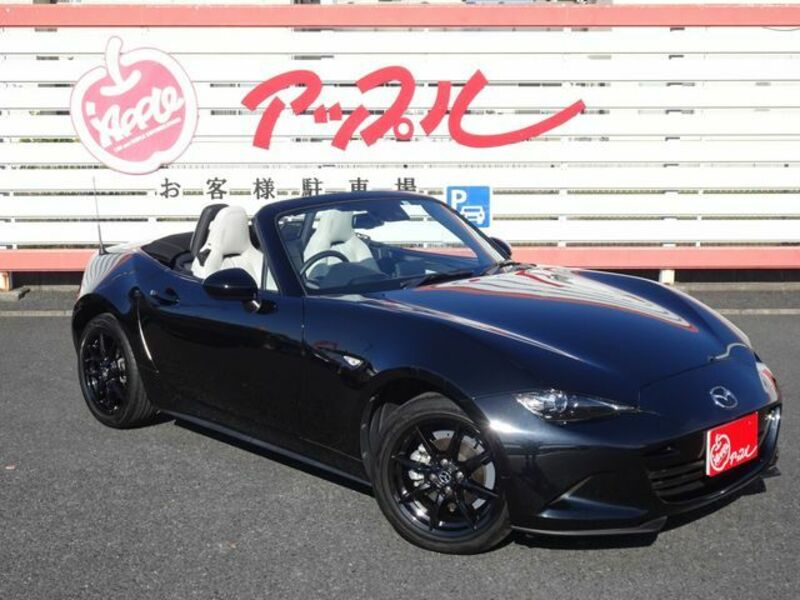 ROADSTER