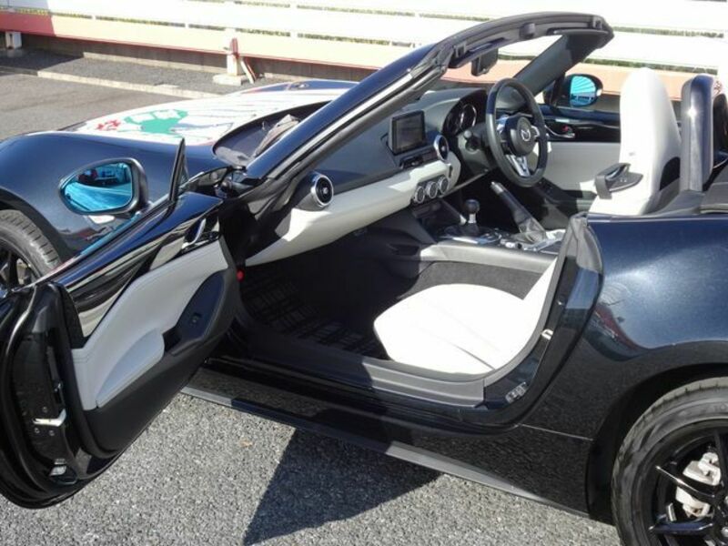 ROADSTER