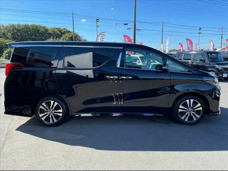ALPHARD-6