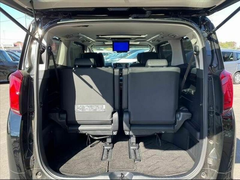 ALPHARD-13