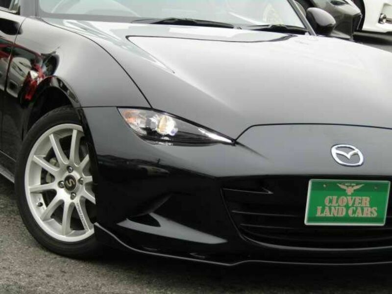 ROADSTER RF
