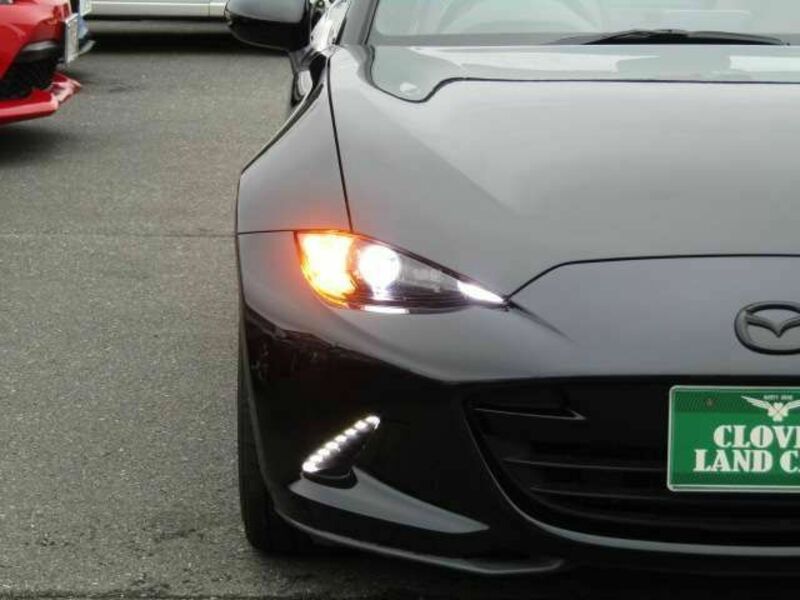 ROADSTER RF
