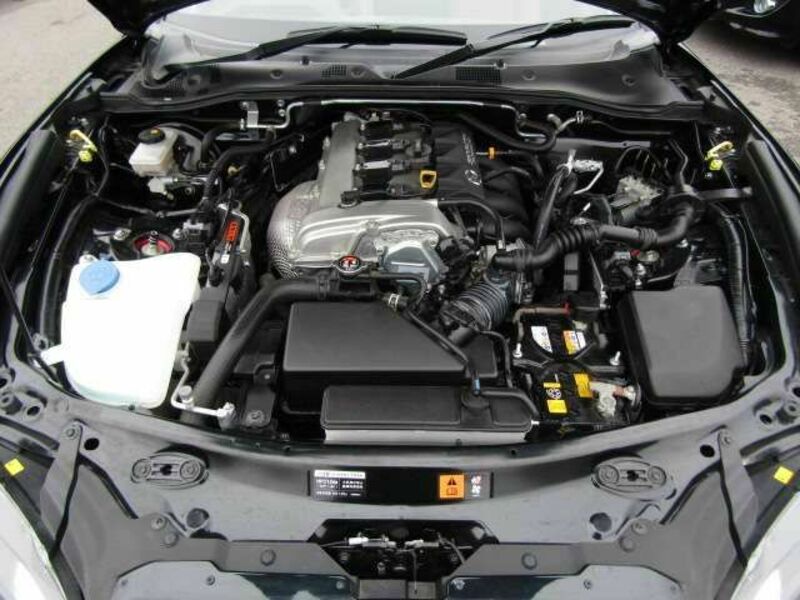 ROADSTER RF