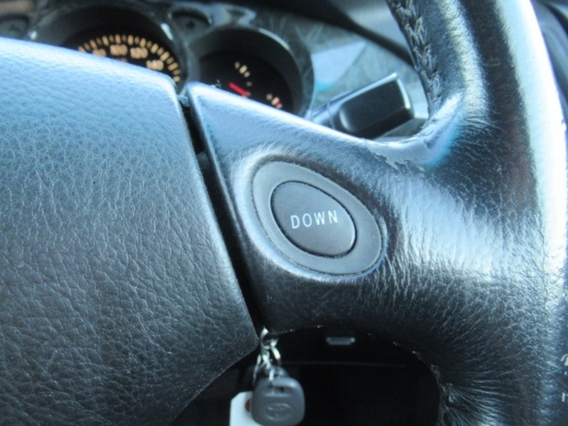 KLUGER L