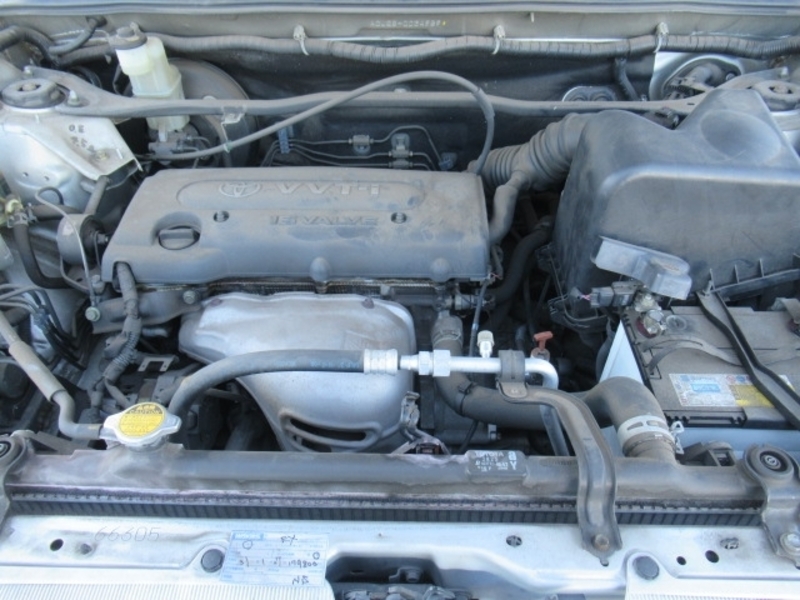 KLUGER L