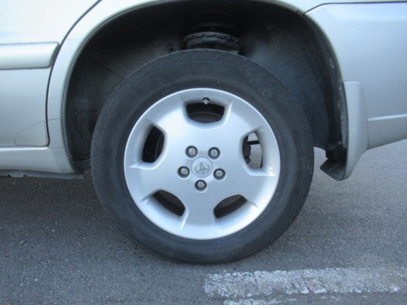 KLUGER L