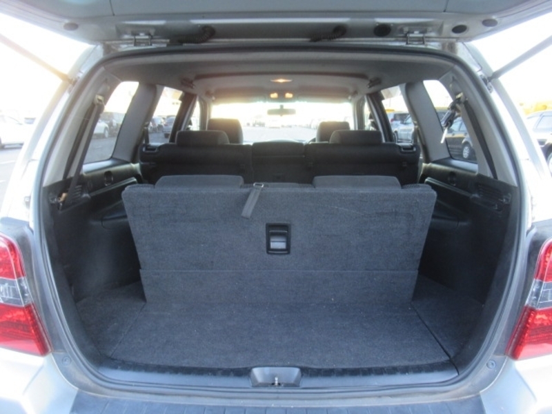 KLUGER L