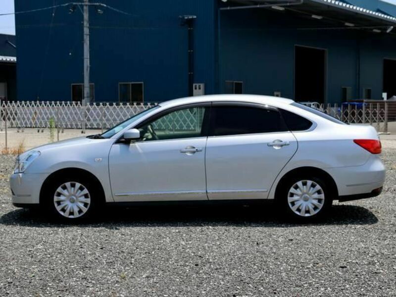 BLUEBIRD SYLPHY