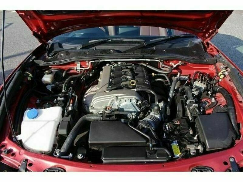 ROADSTER RF