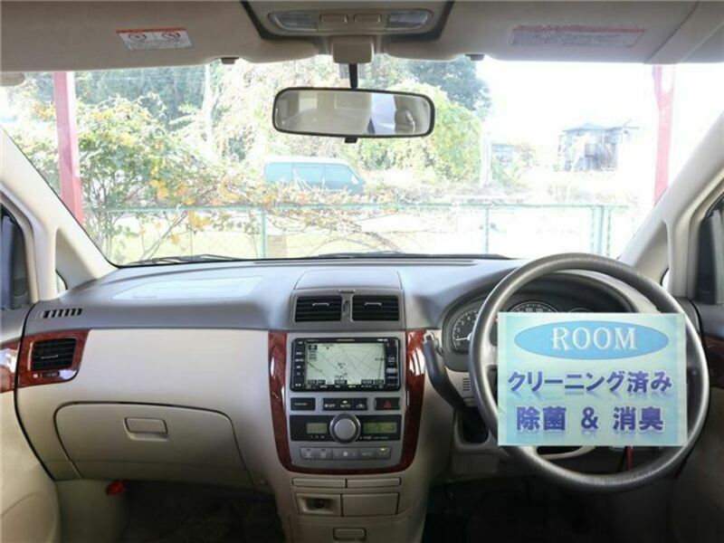 IPSUM