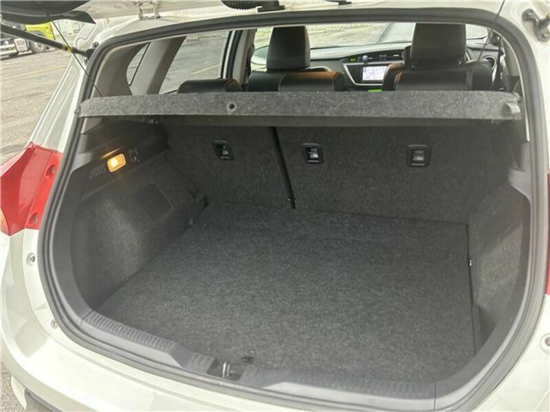 AURIS