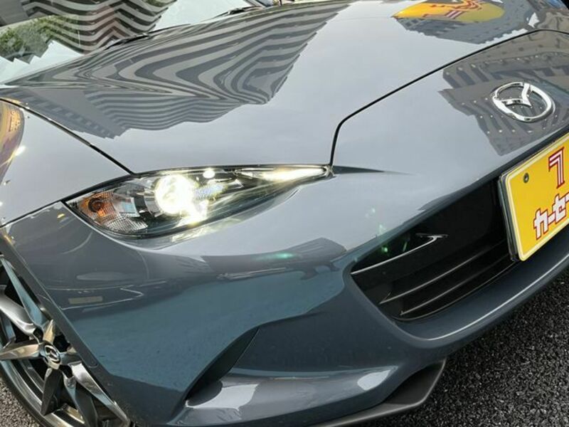 ROADSTER RF