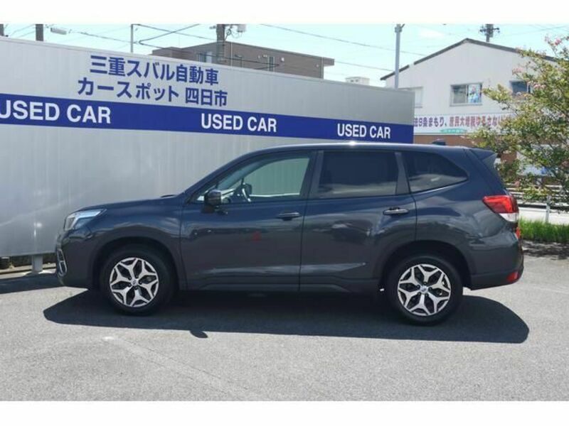 FORESTER