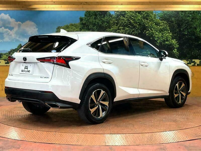 NX