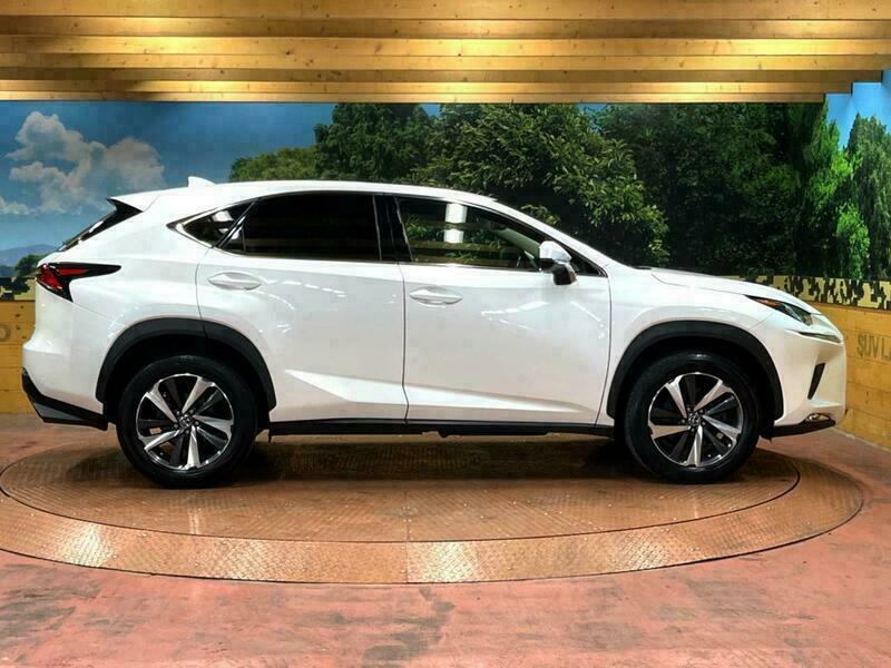 NX