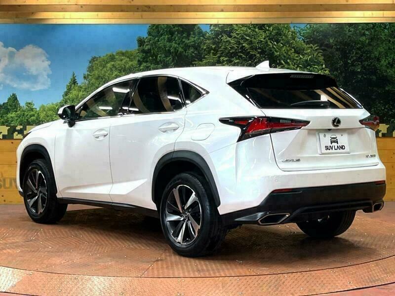 NX