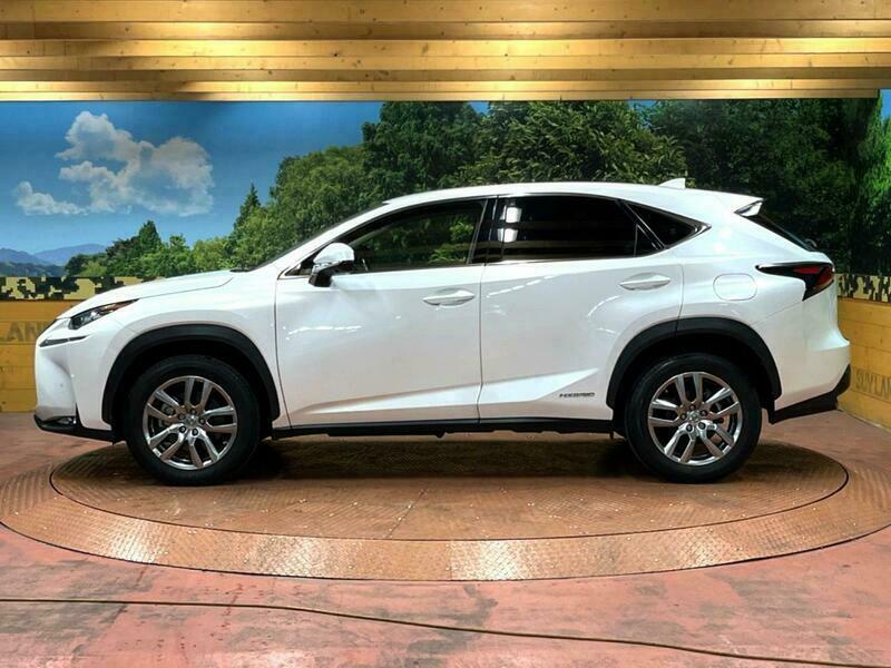 NX