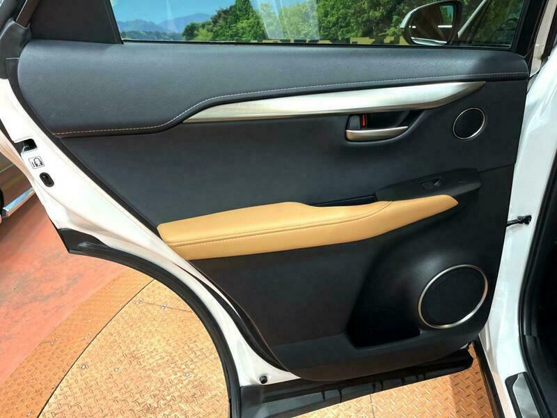 NX