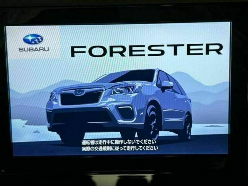 FORESTER