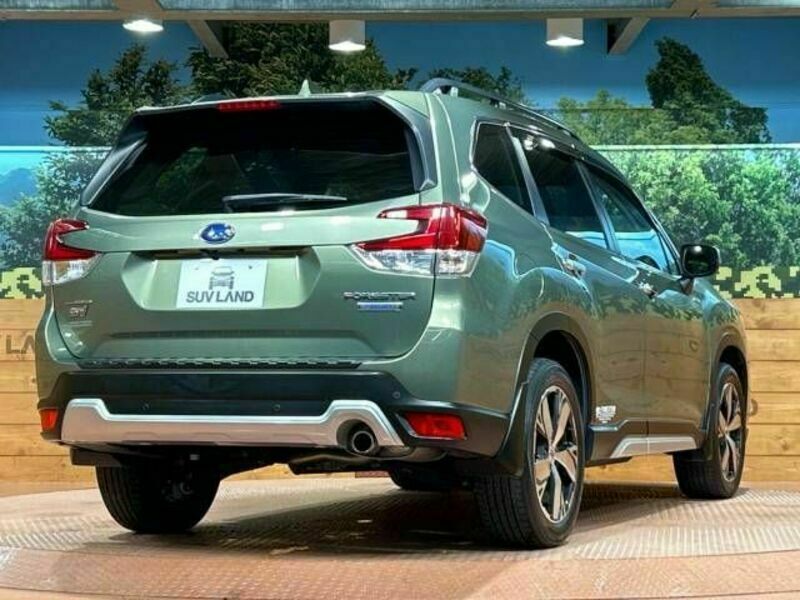 FORESTER