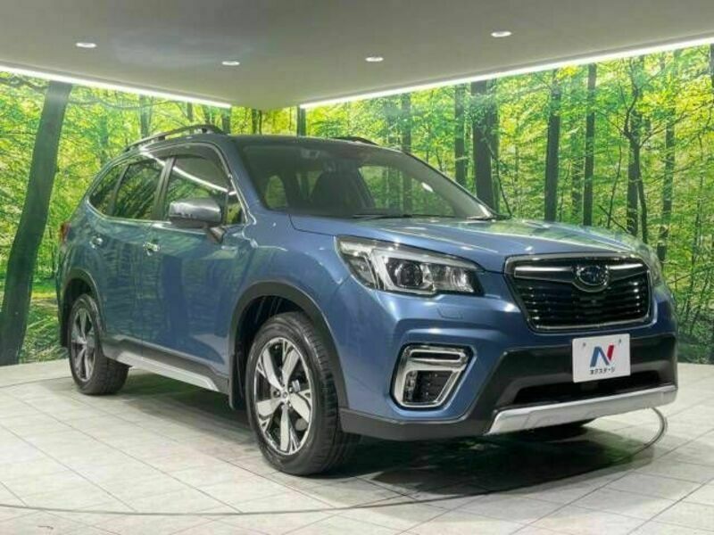 FORESTER