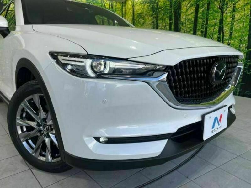 CX-8