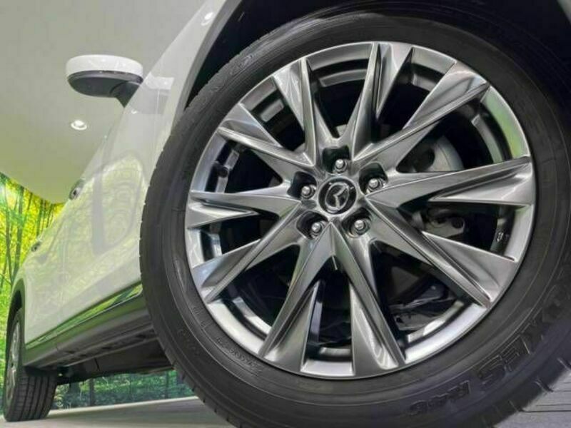 CX-8