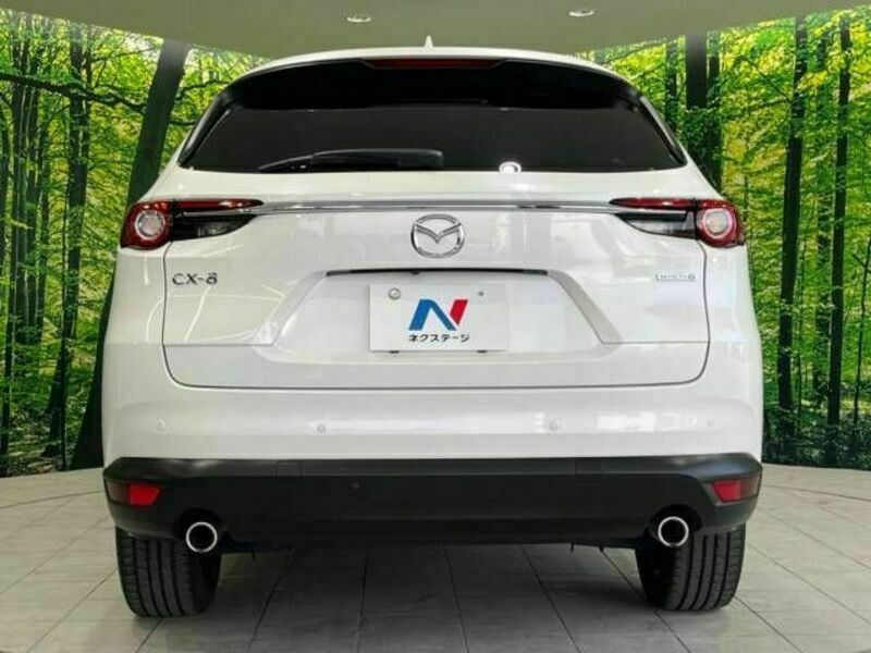 CX-8