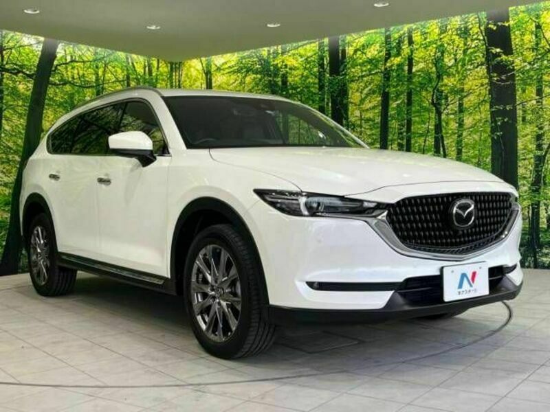 CX-8