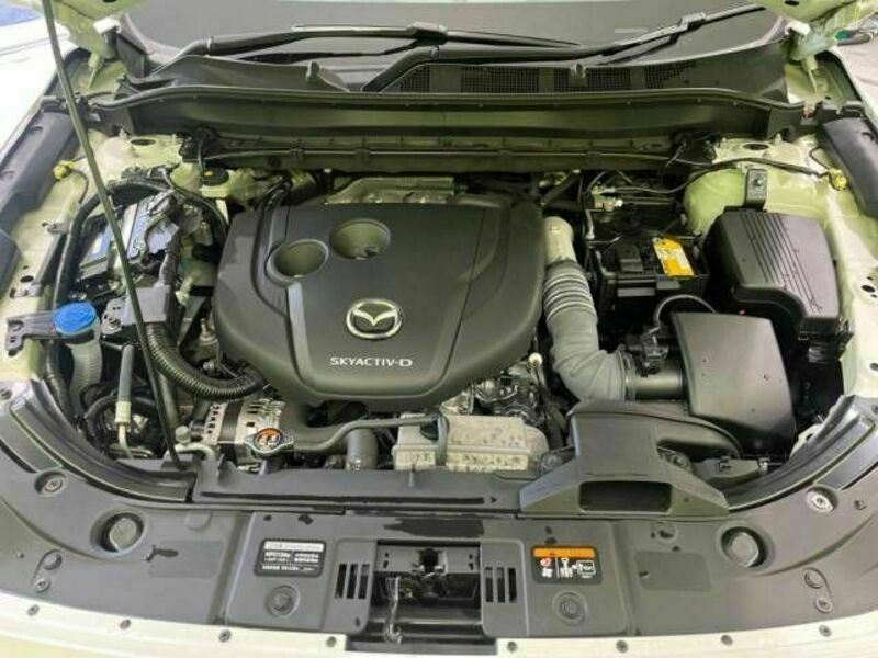 CX-8