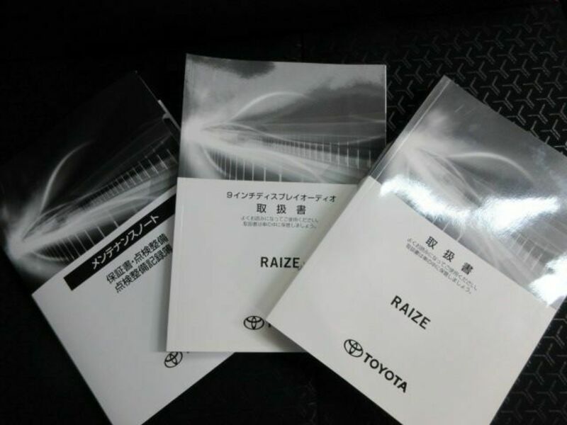 RAIZE