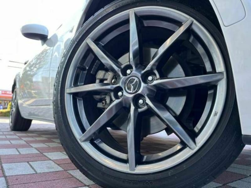 ROADSTER RF