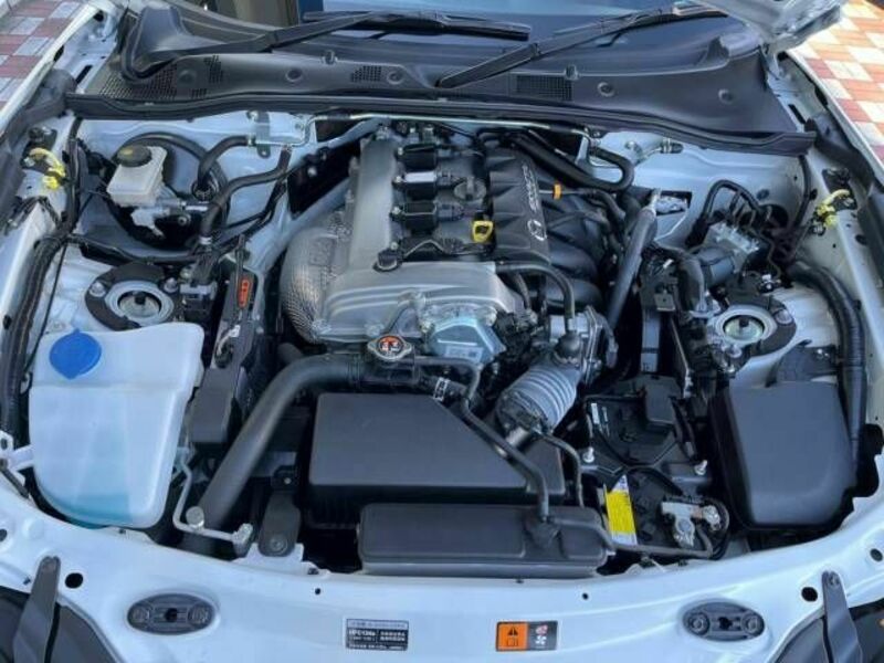 ROADSTER RF