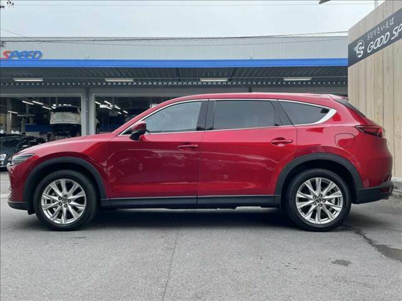 CX-8