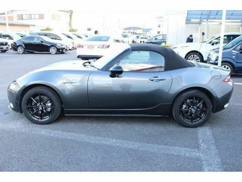 ROADSTER