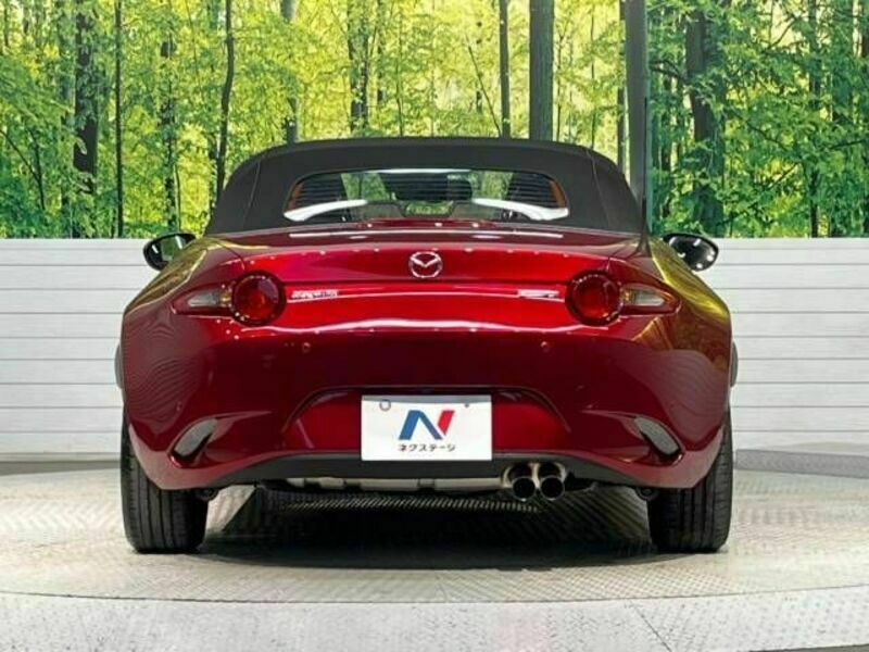 ROADSTER