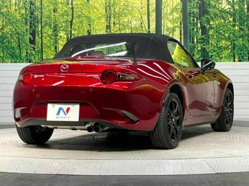 ROADSTER