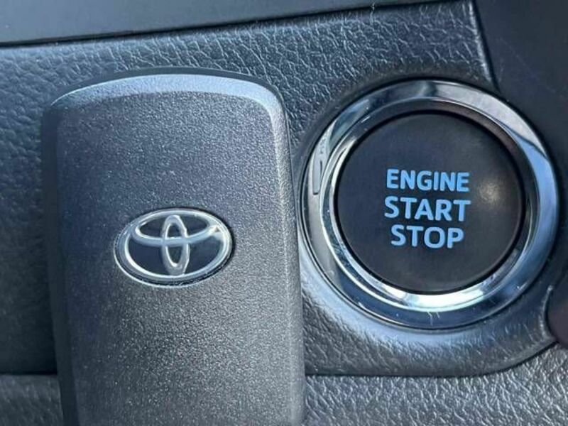 AURIS