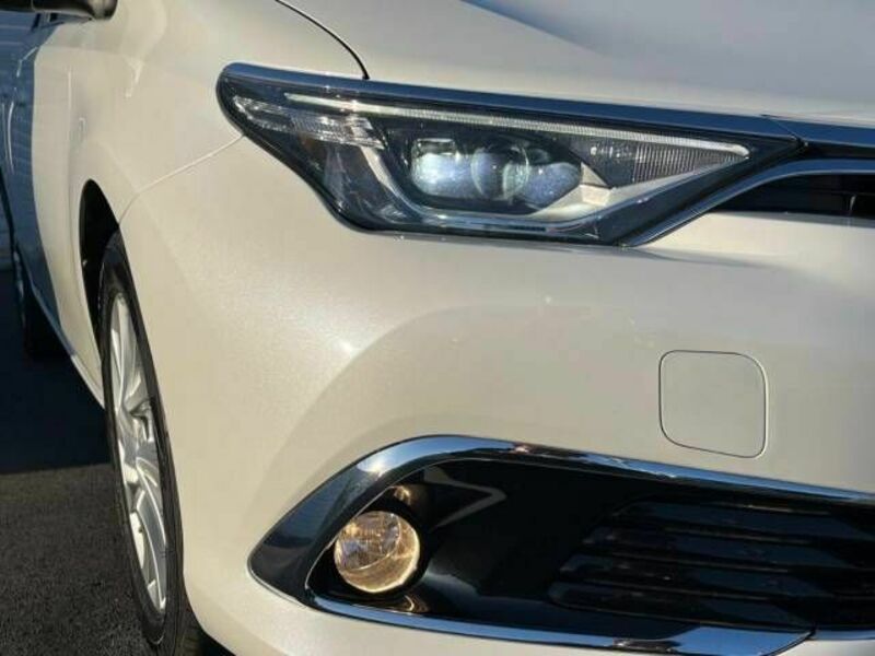 AURIS