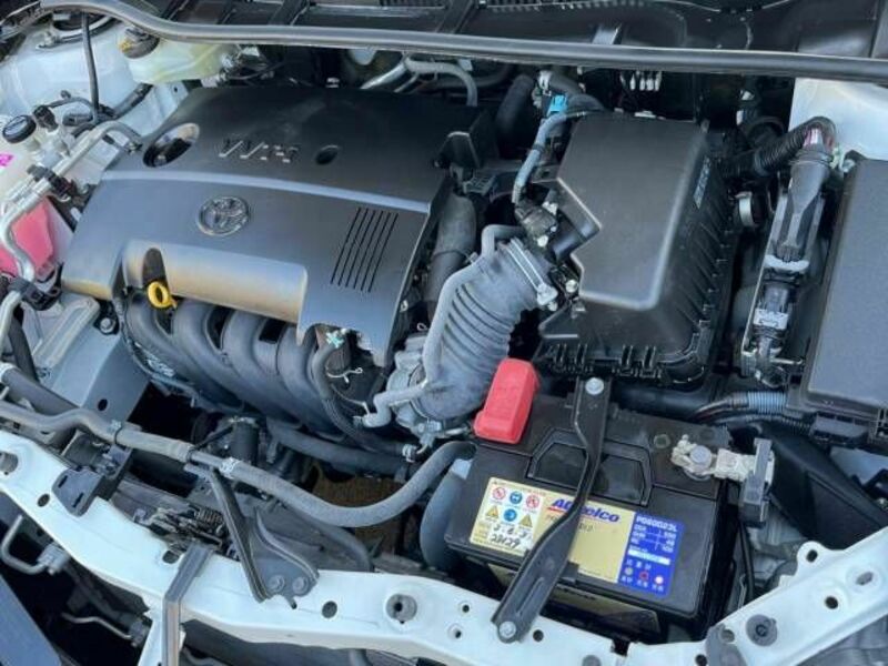 AURIS