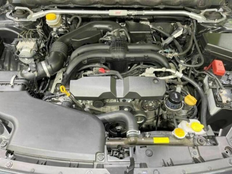 LEGACY B4