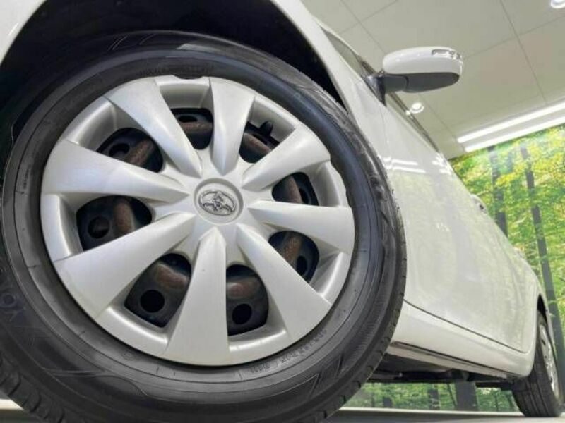 AURIS