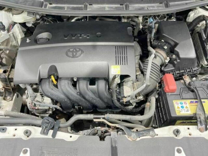 AURIS