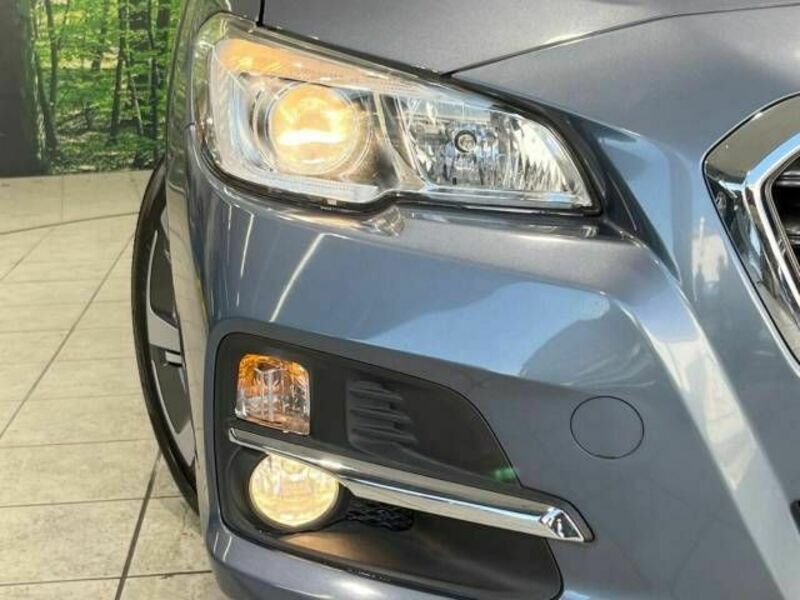 LEVORG