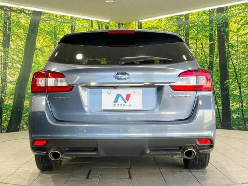 LEVORG